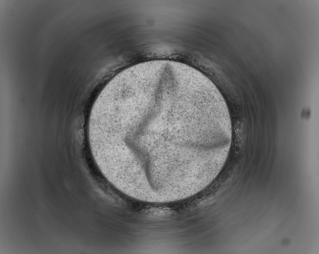 X0000101700642200808071200