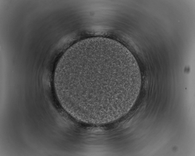 X0000101700643200808071200