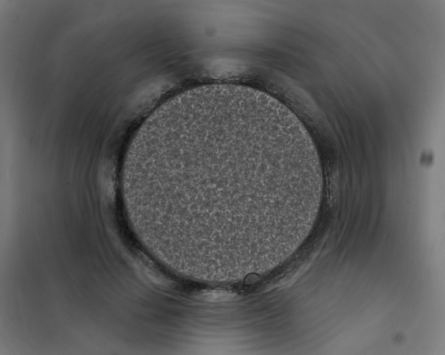 X0000101700644200808071200