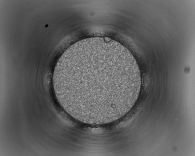 X0000101700645200808071200