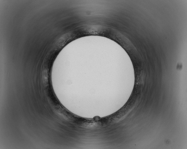 X0000101700646200808071200