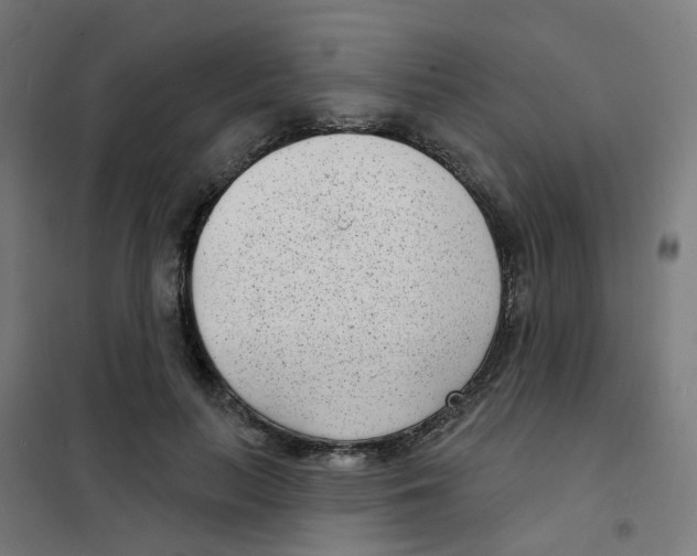 X0000101700647200808071200