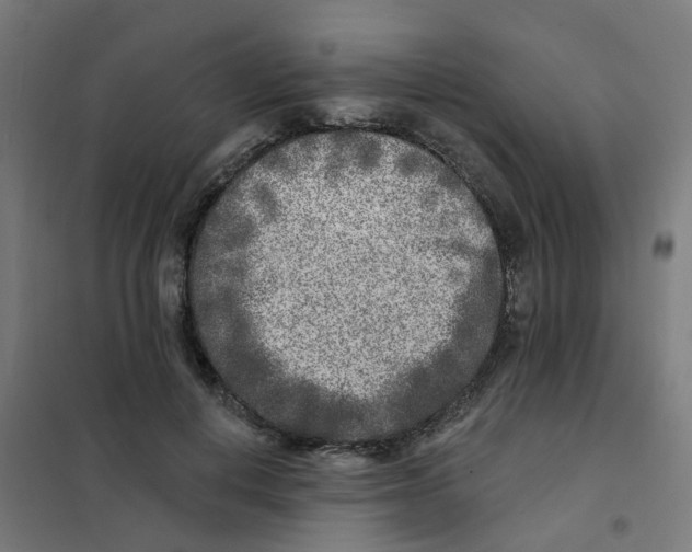 X0000101700648200808071200