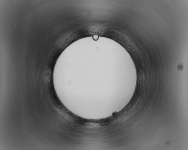 X0000101700649200808071200