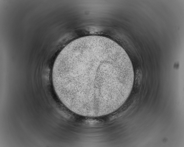 X0000101700650200808071200