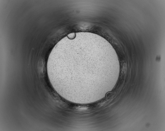 X0000101700651200808071200