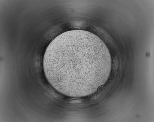 X0000101700653200808071200