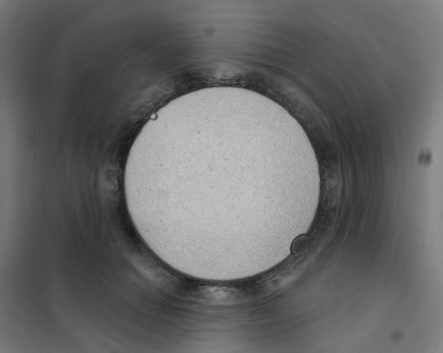 X0000101700654200808071200