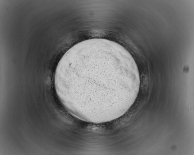 X0000101700655200808071200