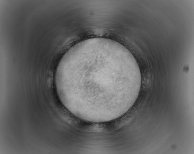 X0000101700656200808071200