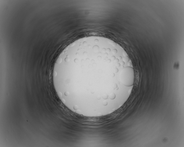 X0000101700657200808071200
