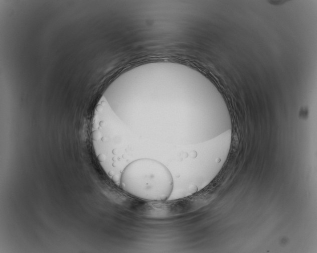 X0000101700658200808071200