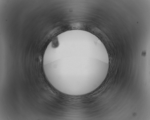 X0000101700660200808071200