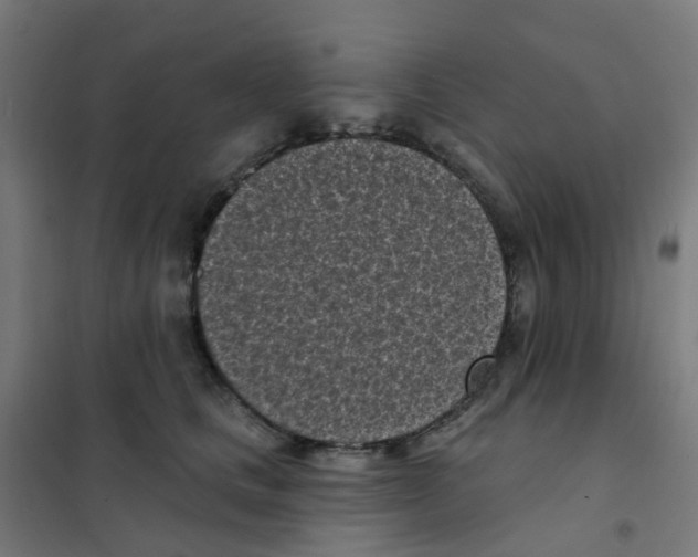 X0000101700661200808071200