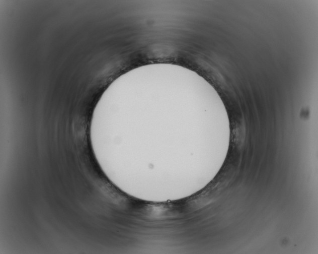 X0000101700662200808071200