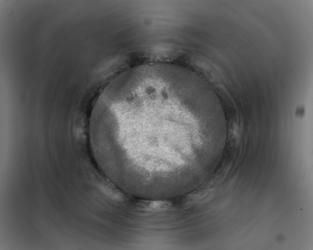 X0000101700663200808071200