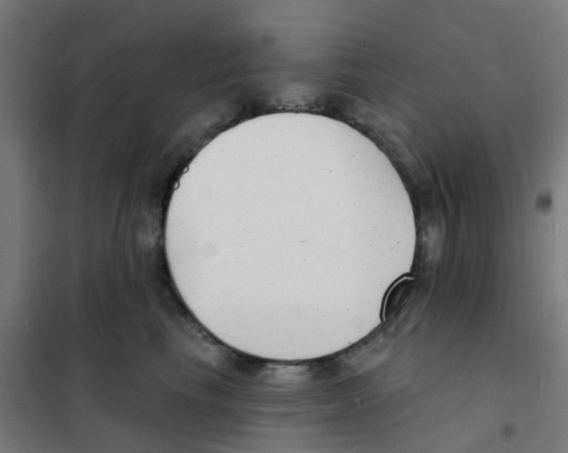 X0000101700665200808071200