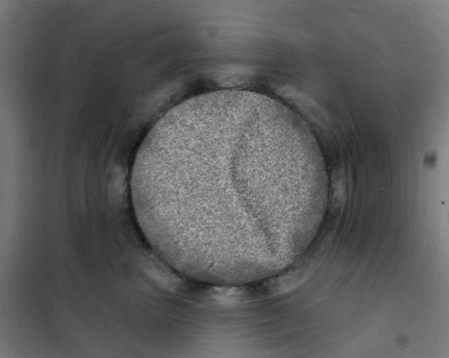 X0000101700667200808071200