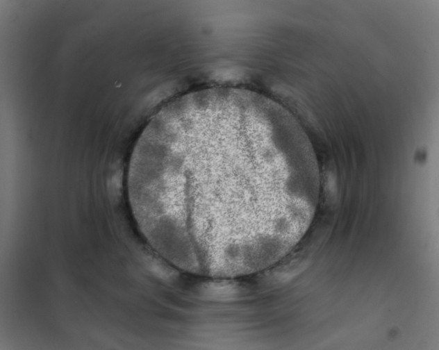 X0000101700668200808071200