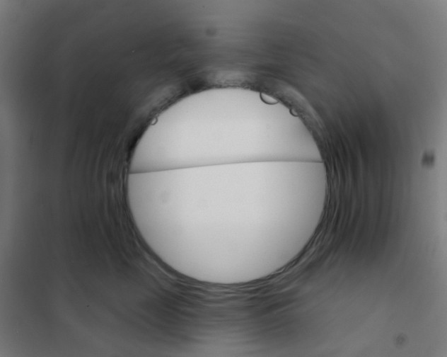 X0000101700669200808071200