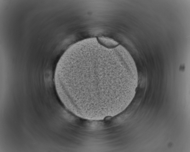 X0000101700670200808071200