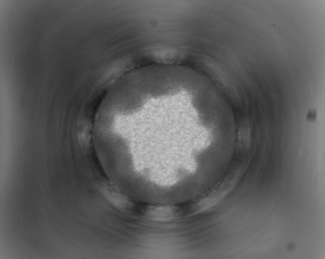 X0000101700671200808071200