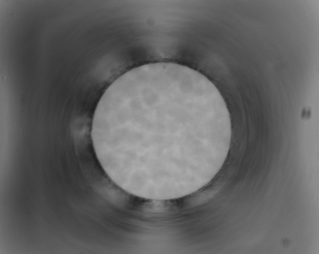 X0000101700672200808071200