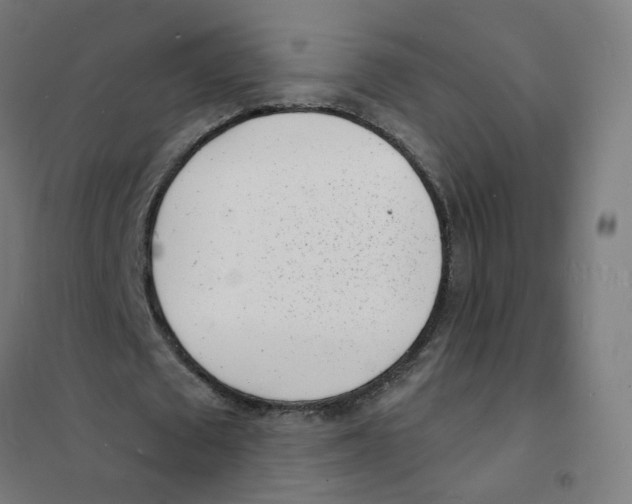 X0000101700673200808071159