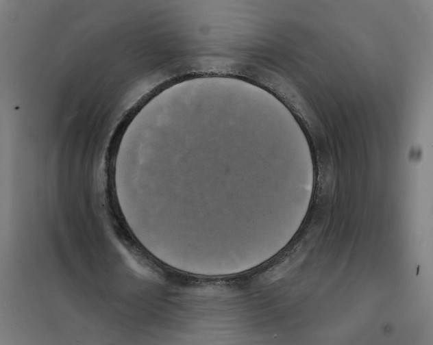 X0000101700674200808071159