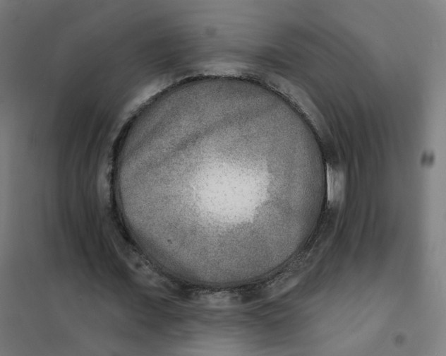 X0000101700675200808071159
