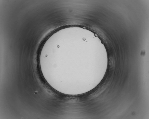 X0000101700676200808071159