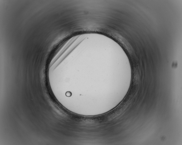 X0000101700677200808071159