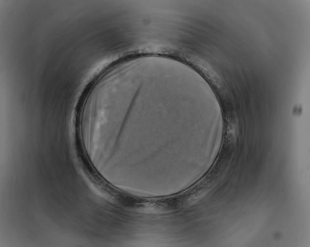X0000101700678200808071159