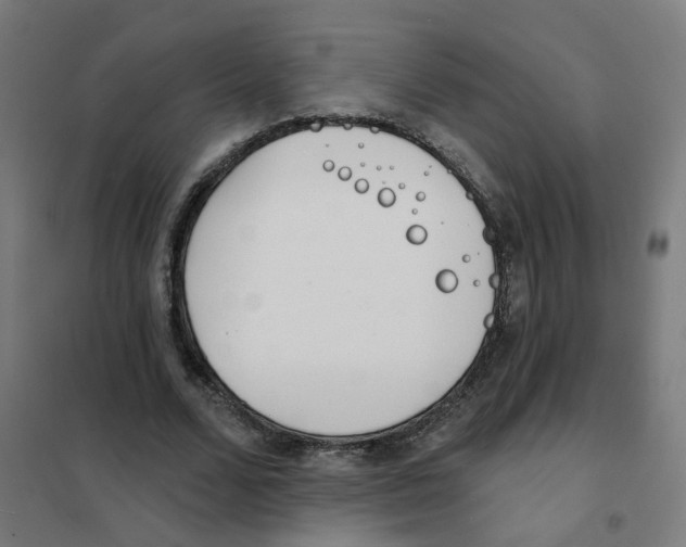 X0000101700680200808071159