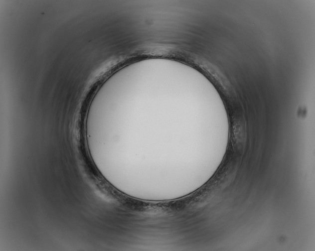 X0000101700682200808071159