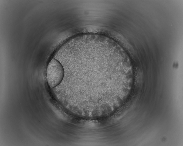 X0000101700683200808071159