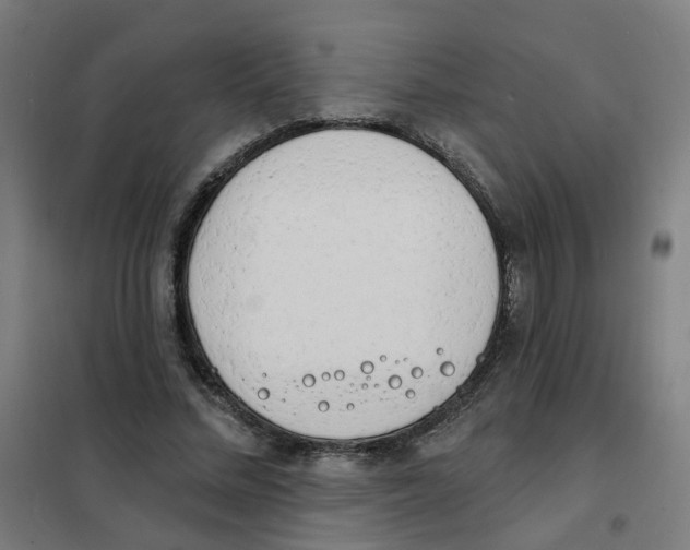 X0000101700684200808071159
