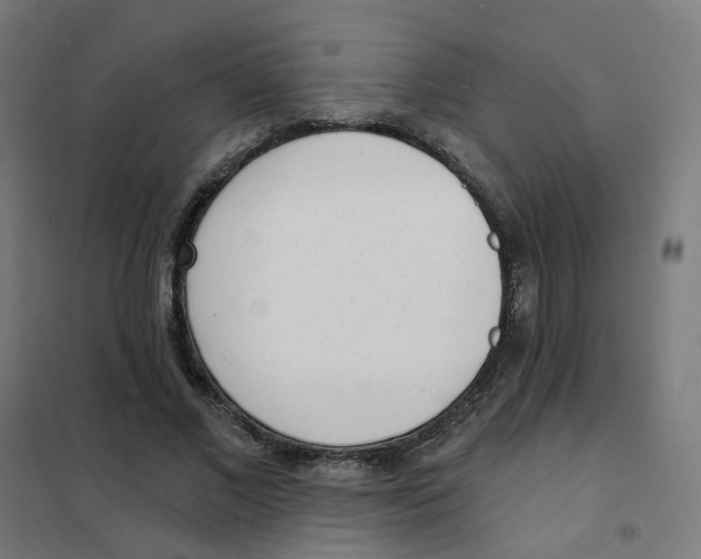 X0000101700685200808071159