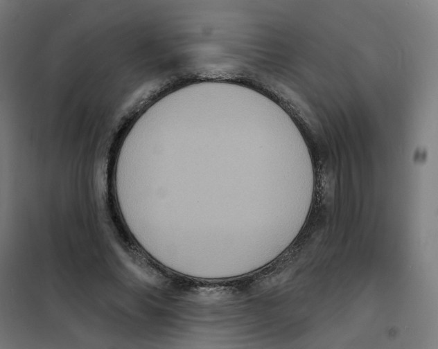 X0000101700686200808071159