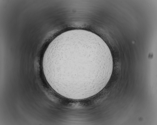X0000101700688200808071159