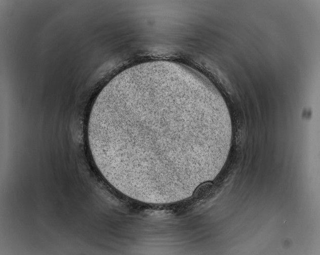 X0000101700689200808071159