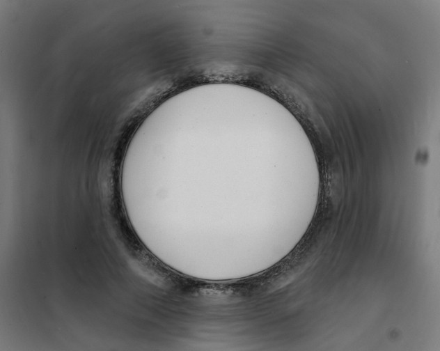 X0000101700690200808071159