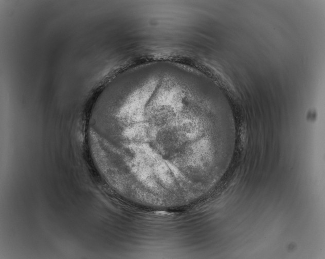 X0000101700691200808071159