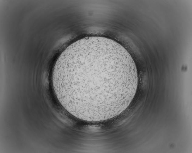 X0000101700692200808071159