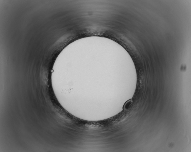 X0000101700693200808071159