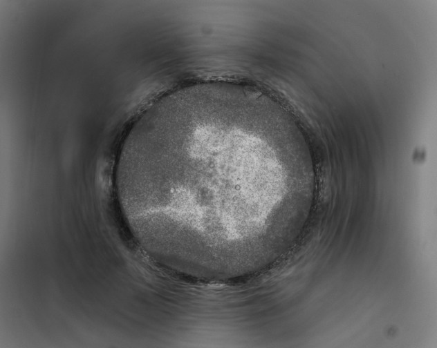 X0000101700695200808071159