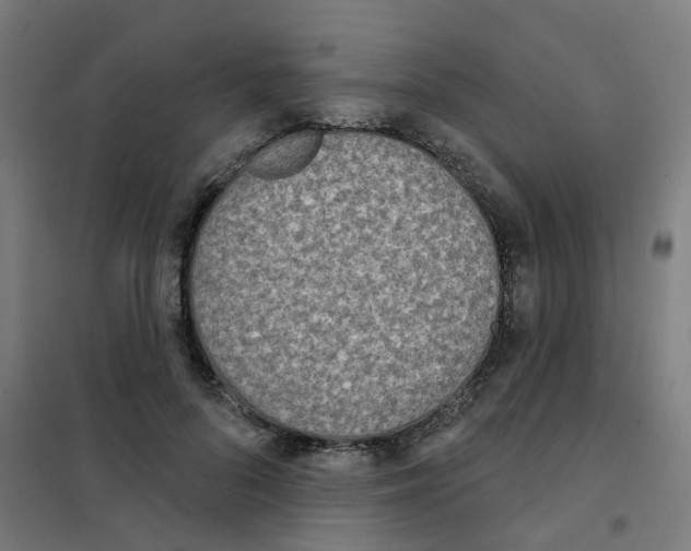 X0000101700696200808071159