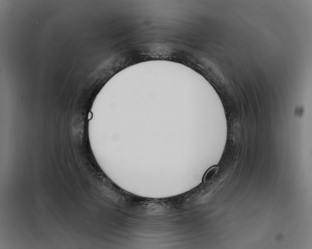 X0000101700697200808071159