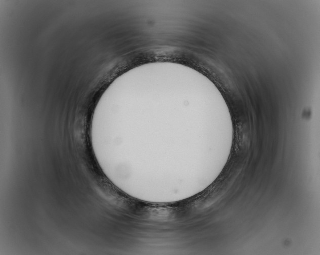 X0000101700698200808071159