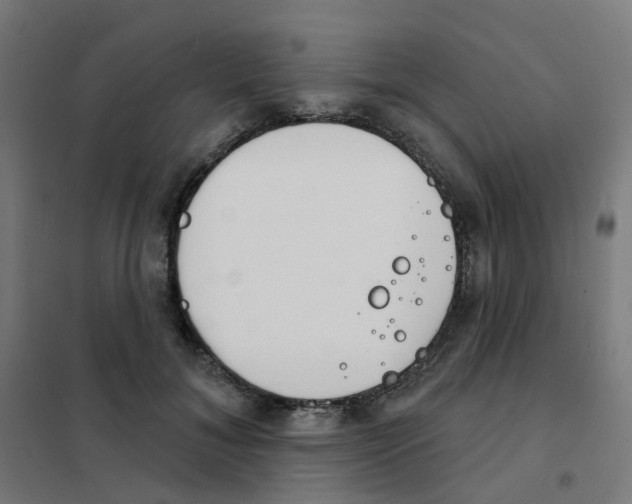 X0000101700700200808071159